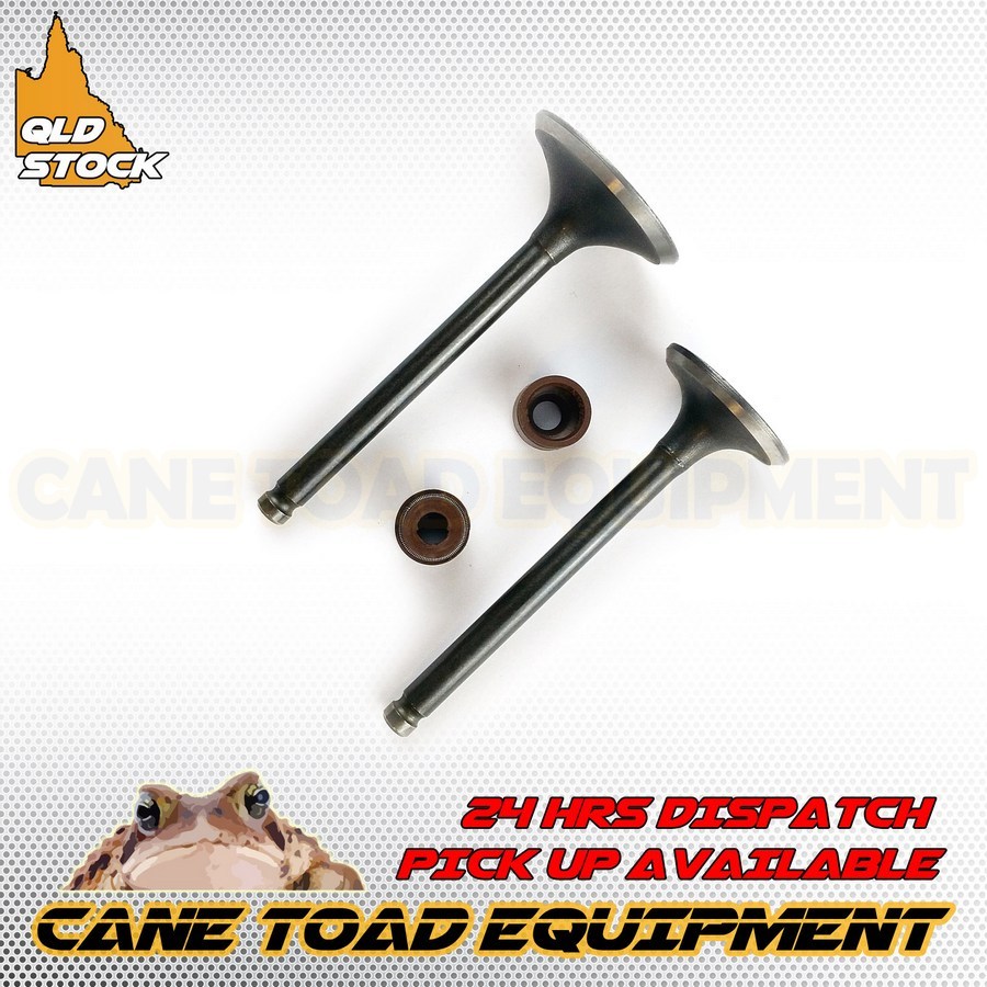 28mm/23mm Engine Intake & Exhaust Valves For GY6 150cc ATV Quad Moped Gokart CANE TOAD EQUIP