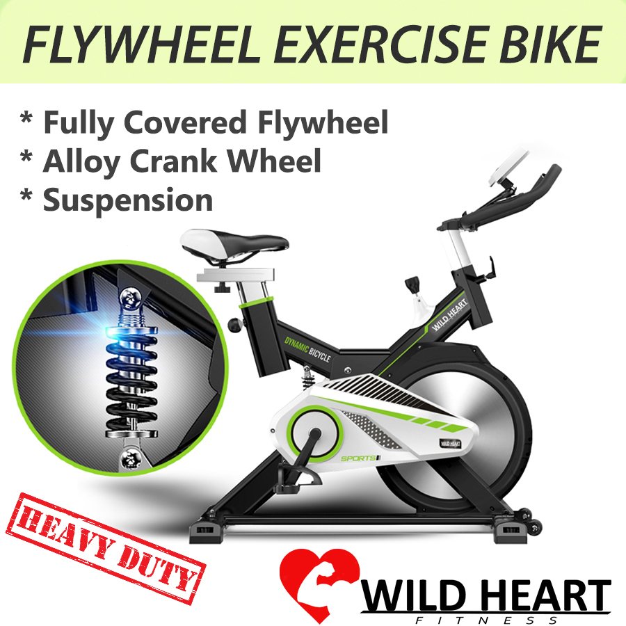 dynamic spin bike