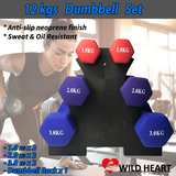 Dumbbell Weights 12kg Set of 6 Anti-slip Exercise Fitness Home Gym Dumbells 