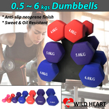 Dumbbell Weights Set Anti-slip Exercise Fitness Home Gym Dumbells 